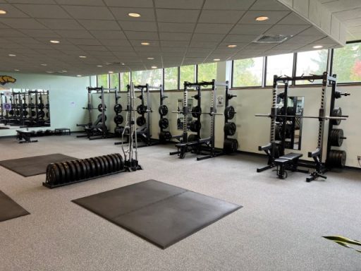 Four squat racks with benches, weight plates, barbells, and floormats
