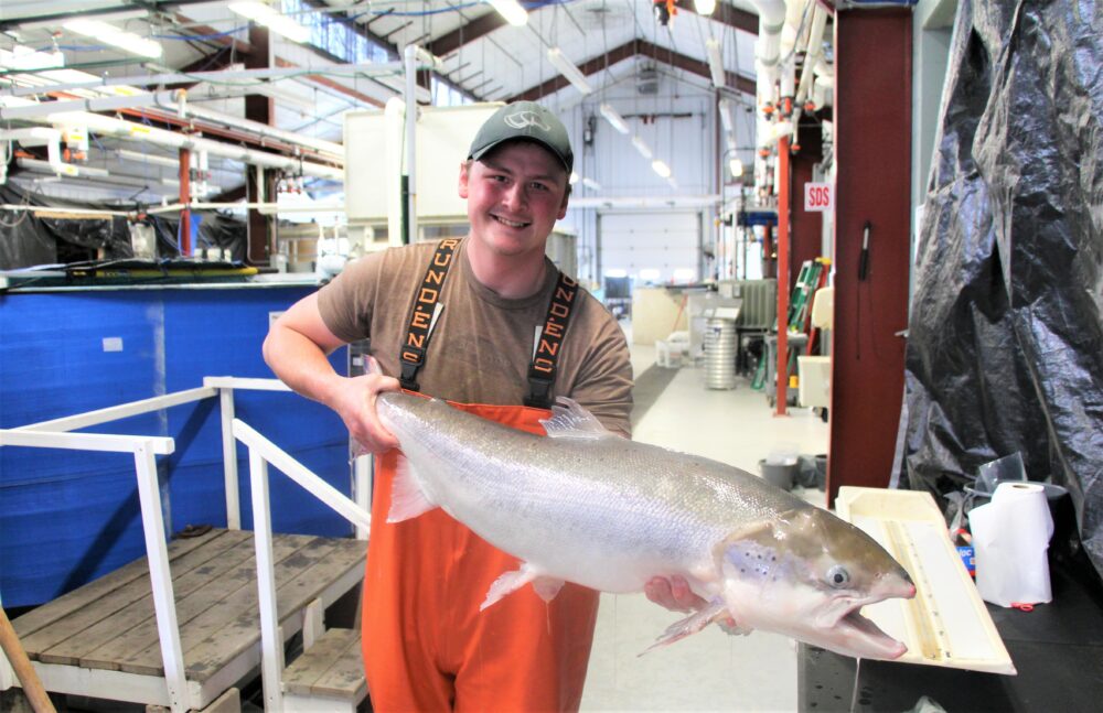 Josh Siebert and Atlantic salmon at UWSP NADF