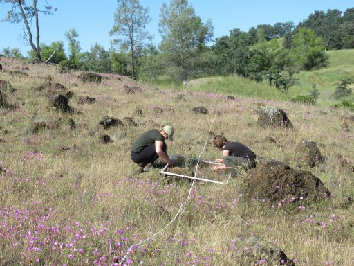 students study plants in field