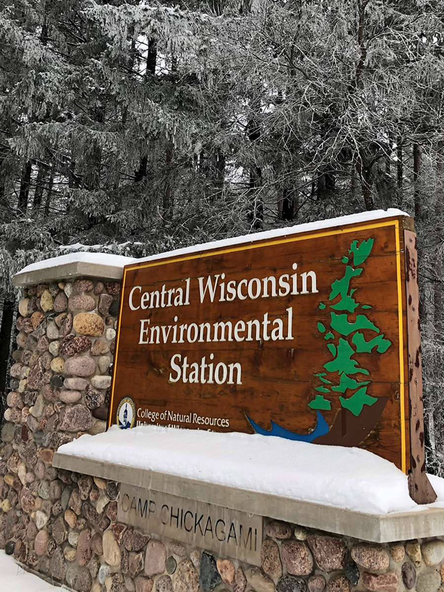 Winter Entrance sign