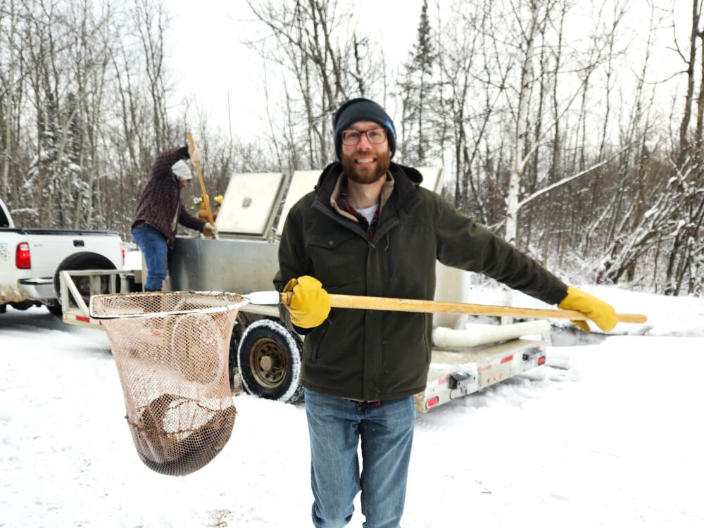 Tyler Firkus transporting lake trout into Red Cliff Tribal Hatchery for project investigating sea lamprey impacts on lake trout populations