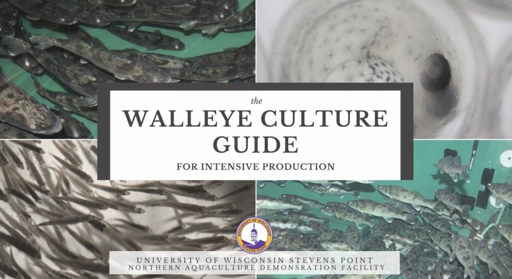 UWSP NADF Walleye Culture Guide 2023