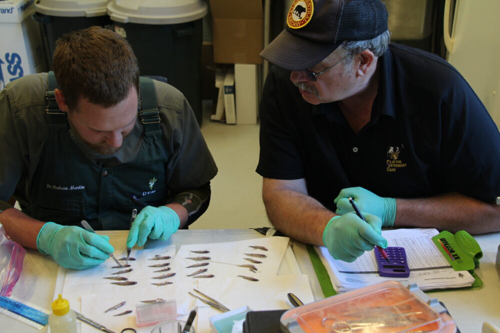 Fish health Inspection at UWSP NADF