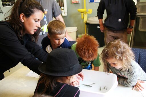 Interactive tours at UWSP NADF