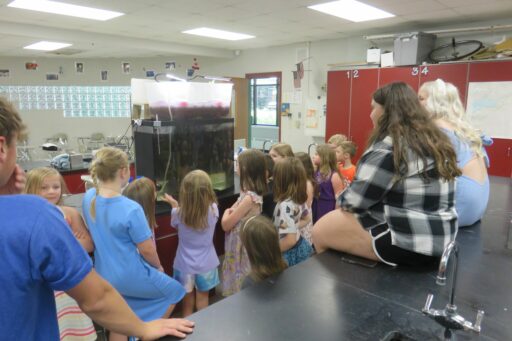 Elementary School Learns About Sustainable Agriculture