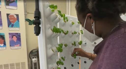 Walden III’s Fork Farms Hydroponics System