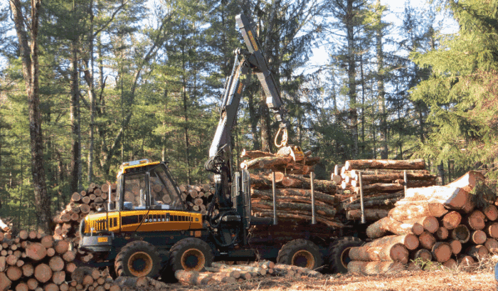 Logging equipment moving logs