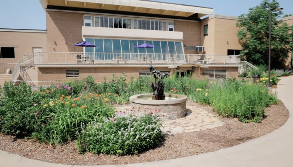 Flowers and courtyard outside the DUC.