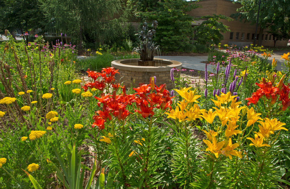 Iris fountain and garden outdoor space