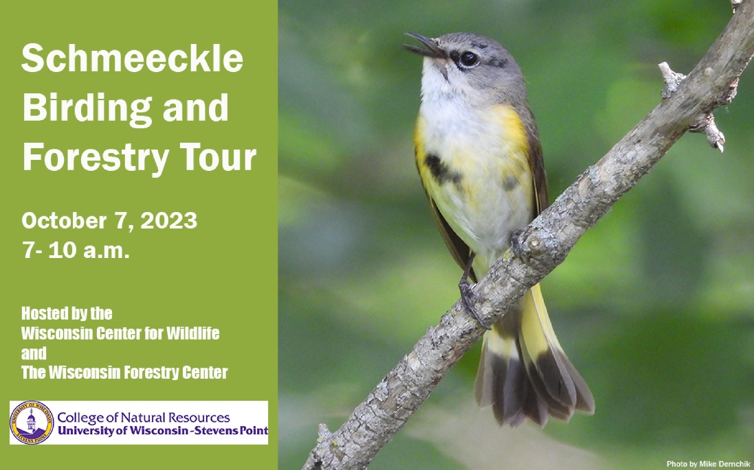 Learn about bird watching and forest habitats on a guided walk of Schmeeckle Reserve on Saturday, Oct. 7.