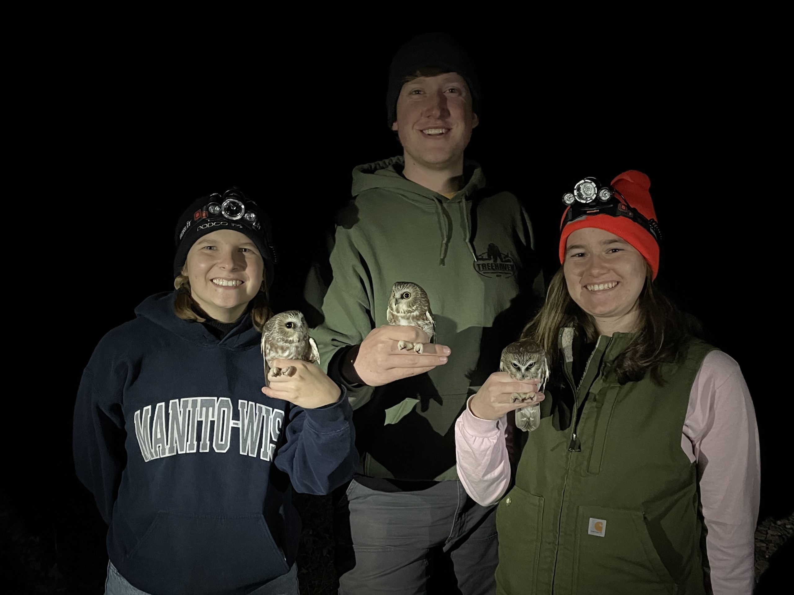 Members of TWS's Saw-whet Owl Project band birds in the Sandhill Wildlife Area in October and November.