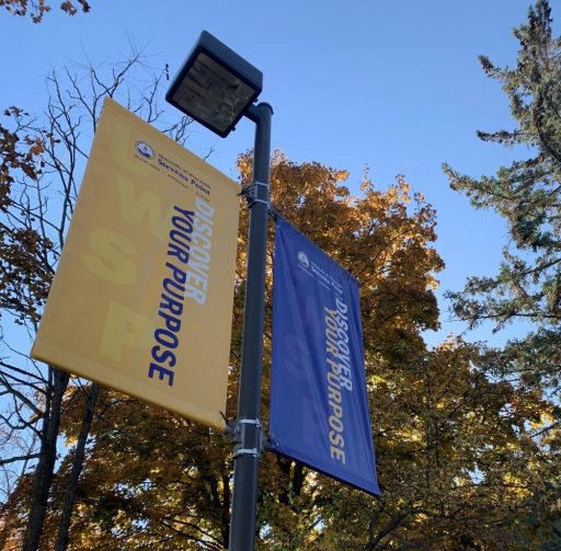 Light pole banners