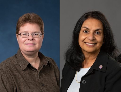 Several faculty and staff members at UW-Stevens Point have been recognized for outstanding achievements and contributions to their field, including Associate Professor Sandra Neumann and Vice Chancellor of Business Affairs Pratima Gandhi.