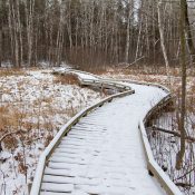 Led by UW-Stevens Point students, the campus’s 280-acre Schmeeckle Reserve will hold Family Nature Programs throughout March.