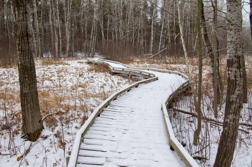 Led by UW-Stevens Point students, the campus’s 280-acre Schmeeckle Reserve will hold Family Nature Programs throughout March.