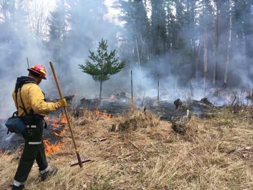 The University of Wisconsin-Stevens Point Wisconsin Forestry Center is hosting a webinar series on prescribed fire for forest management through October.