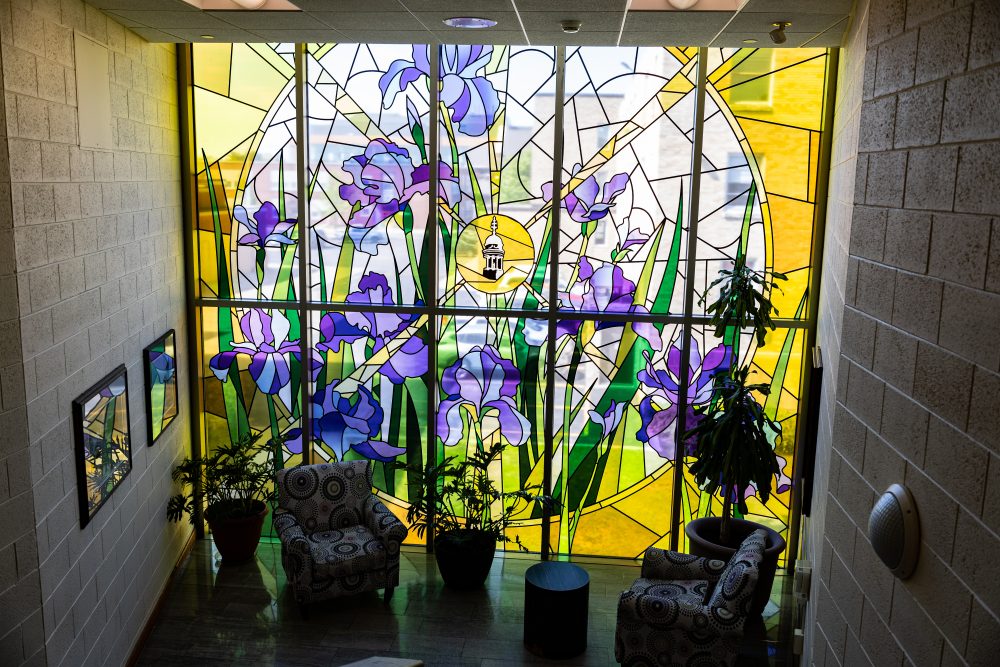 Dreyfus University Center stained glass iris mural