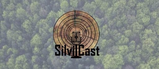 Banner photo for the CNR SilviCast podcast