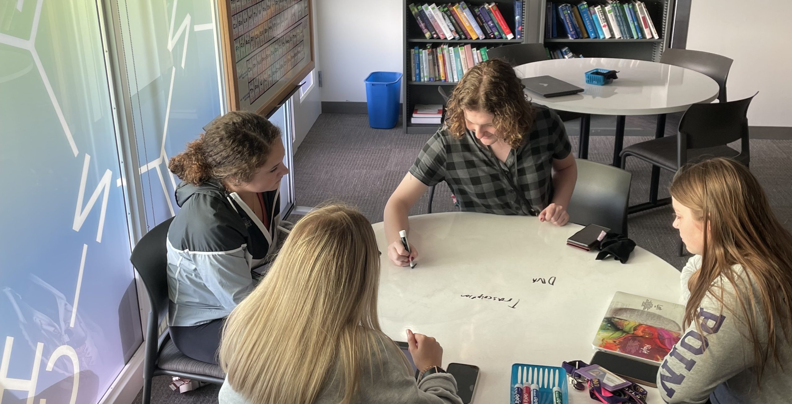 Maisie Christison, STEM tutor and environmental science major, leads group tutoring through the TLC STEM Drop-in Center.