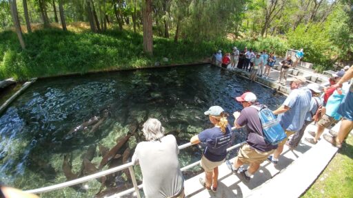 National Aquaculture Extension Conference 2017