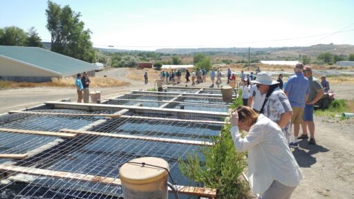 National Aquaculture Extension Conference 2017